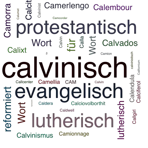 Ein anderes Wort für calvinisch - Synonym calvinisch
