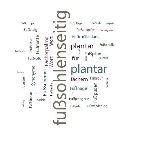 Ein anderes Wort für fußsohlenseitig - Synonym fußsohlenseitig