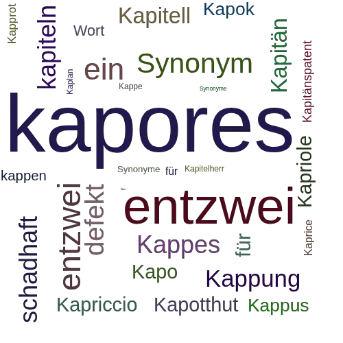 Ein anderes Wort für kapores - Synonym kapores