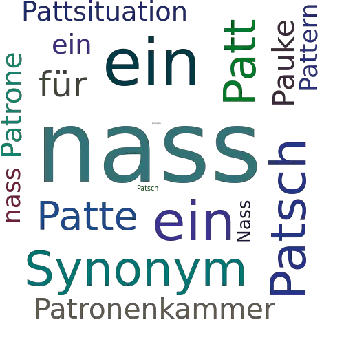 Ein anderes Wort für patschenass - Synonym patschenass