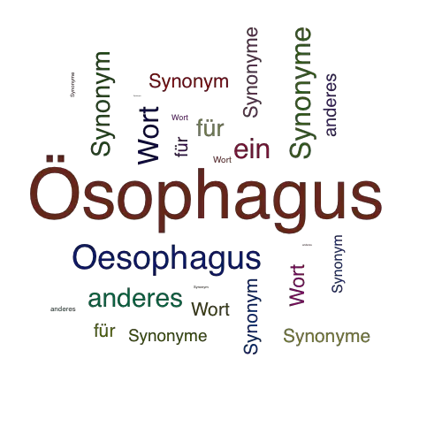 Ein anderes Wort für Ösophagus - Synonym Ösophagus