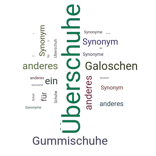 Ein anderes Wort für Überschuhe - Synonym Überschuhe